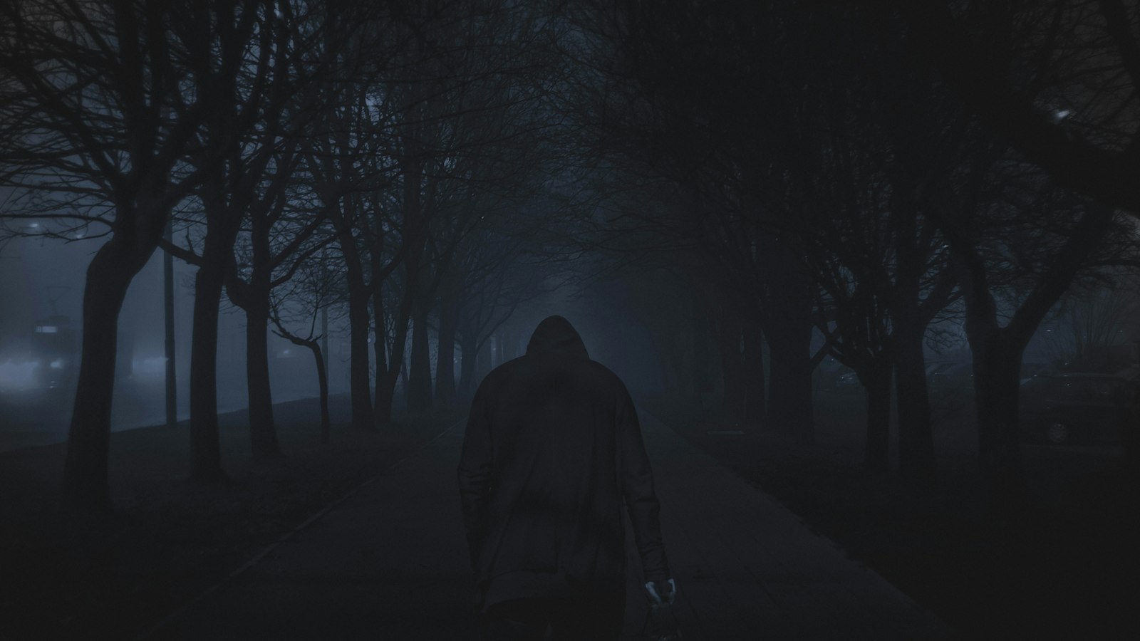 person walking between trees